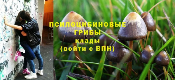 мет Балахна