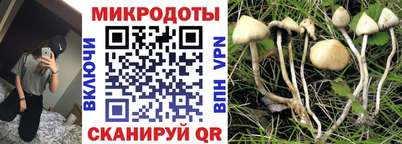 как найти наркотики  Саянск  Псилоцибиновые грибы Magic Shrooms 